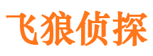 凤山市婚外情调查